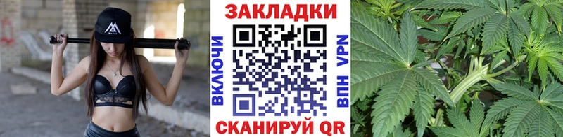 Купить наркотики Бердск Бошки Шишки  Мефедрон  Alpha PVP  ГАШИШ  мега зеркало  КОКАИН 