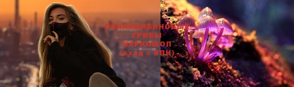 крисы Волоколамск