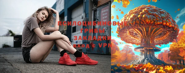 крисы Волоколамск