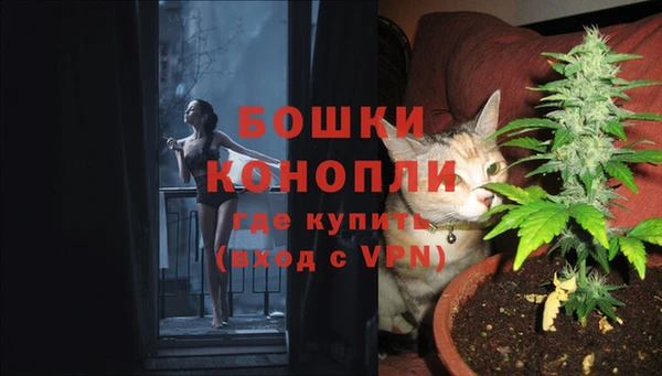 крисы Волоколамск