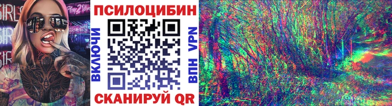 darknet официальный сайт Бердск Галлюциногенные грибы Psilocybine cubensis
